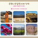 큰나무민박 이미지