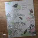 민화로 만나는 책과 꽃 (상) | [서평 후기]박물관에서 만나는 꽃과 나비 컬러링북