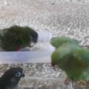 연지목욕탕 이미지