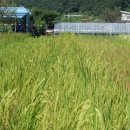 박현수농장 이미지