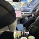 아파트먼트풀 포알엠에스 이미지