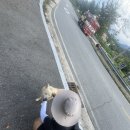 김천소방서(아포119안전센터) 이미지