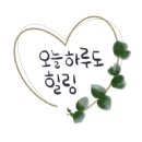 레스트랙트(RESTRACT) 이미지