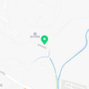 안성비단잉어 이미지