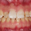 부목농장 이미지