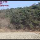 송동면 내사촌마을 이미지