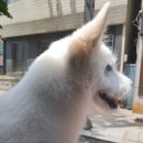 우리집 이미지