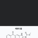 암치료 구충제 2탄 이미지