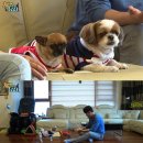 개밥주는 남자 이미지