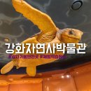 강화 가볼만한곳 강화자연사박물관(강화역사박물관통합운영)