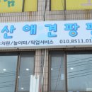 부산애견팡팡 이미지