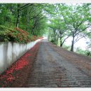 성내삼거리주유소 이미지