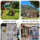 땡큐캠핑 MD리뷰 [에이미 캠핑장]