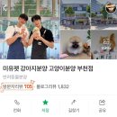 미유펫 강아지분양 고양이분양 부천점 이미지