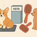 한별공조(주) 비산점 | 반려 털·먼지 관리 루틴｜브러싱·필터·매트