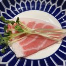 설화참치 이미지