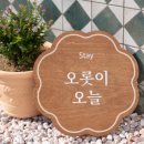 오롯이오늘 이미지