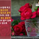 꽃꽂이(야) 이미지