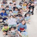 D.S 통상 이미지