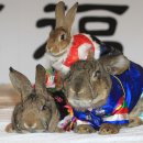 우체국옆 보도 이미지