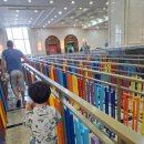 (주)매지션 | [1월 2주] D+1929 나트랑3일차🌞, 빈원더스🎡, 카피바라🦛, 알파인코스터🎢