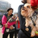 마두1동주민센터 이미지