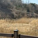 사림동169 이미지