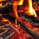 기사문항(등대) 화장실 이미지