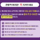 거창군농업기술센터 | 제5회 거창별바람언덕 축제_감악산 꽃별여행 &#34;보랏빛 노을 속으로&#34; 추울~~발~~