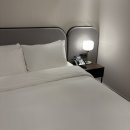 메테오(METEOR) | [대전] 컨벤션센터 근처 호텔메테오 장단점 조식 내돈내산 솔직후기