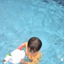 숨키즈독채펜션 이미지