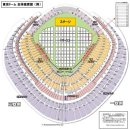 세븐일레븐 대화중앙점 | 레이디가가 언니의 MAYHEM 콘서트 후기 @도쿄돔