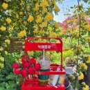 금채컴퍼니 이미지