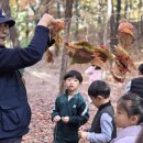 뉴한가람어린이집 이미지