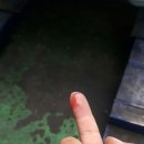 대일카정비 네이버블로그