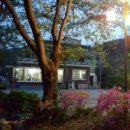 국도24호선가로수 | 내장산에 마음을 빼앗기고 담양 죽녹원에서 젊음을 훔친 착한도둑의 여행 스토리