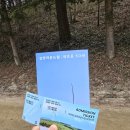 만주농장 | 대관령 삼양목장 삼양라운드힐 방문 후기