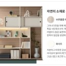 H1163 이미지