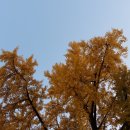 명주마을경로당 이미지