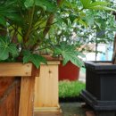 인천농장 이미지