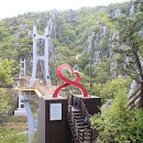 강진10호 이미지