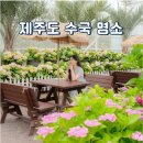 신례동로 | 제주 서귀포 가볼만한곳 제주도 수국 명소 6월 휴애리 수국축제