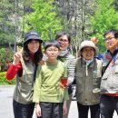 재활용장터 보물섬 이미지