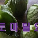 G1458 네이버블로그