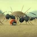 아이들과 함께 보는 애니메이션 - 수퍼미니 잃어버린 개미계곡 이미지