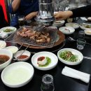 도야지 친구들 이미지