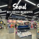 서울하이약국 | 서울가볼만한곳 용산 대형약국 메디킹덤 주차 가격 영업시간