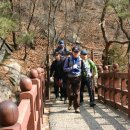 윤명수축사 Daum카페