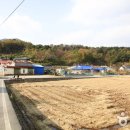 울진 거일1리어촌체험마을 이미지