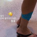 진재영 카카오 검색결과